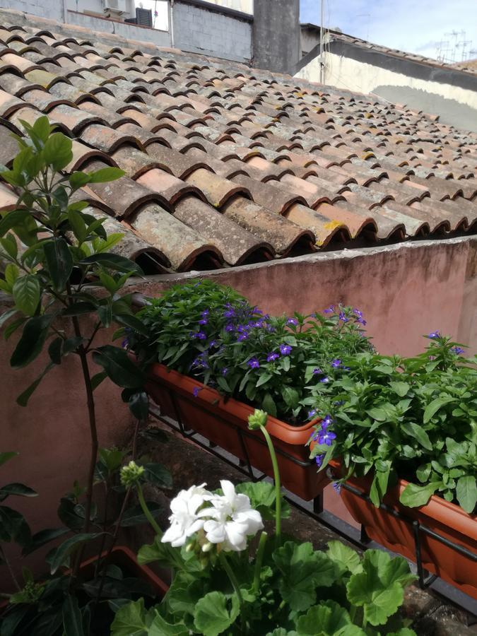 Altevolte Rooms CTA Exterior foto